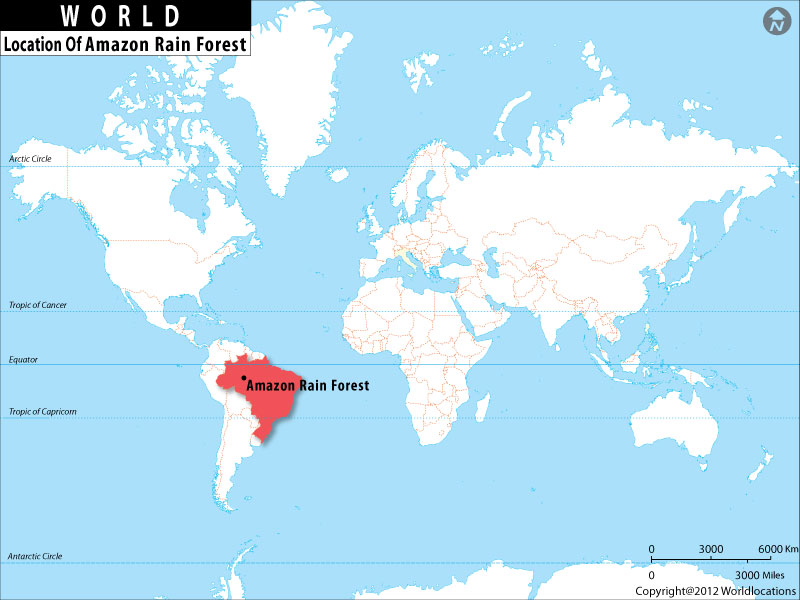 amazon rainforest world map